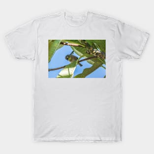 Japanese white-eye Honolulu T-Shirt